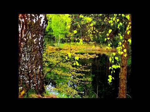 K PROŃKO i H FRĄCKOWIAK   TAM GDZIE LEKKI WIEJE WIATR