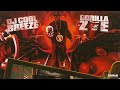 Gorilla Zoe Stacy