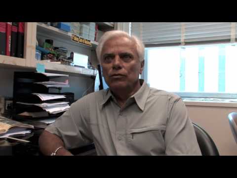 Anthrax bacteria conspire with viruses to stay alive