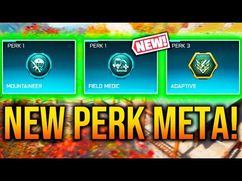 WARZONE: New BEST PERKS AFTER UPDATE! (PERK META)