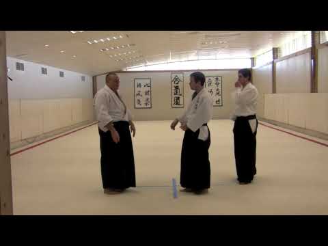 Aikido: Multiple Attack Randori