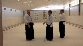 Aikido: Multiple Attack Randori