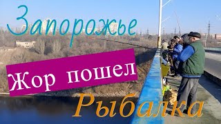 Рыбалка на плотине в запорожье
