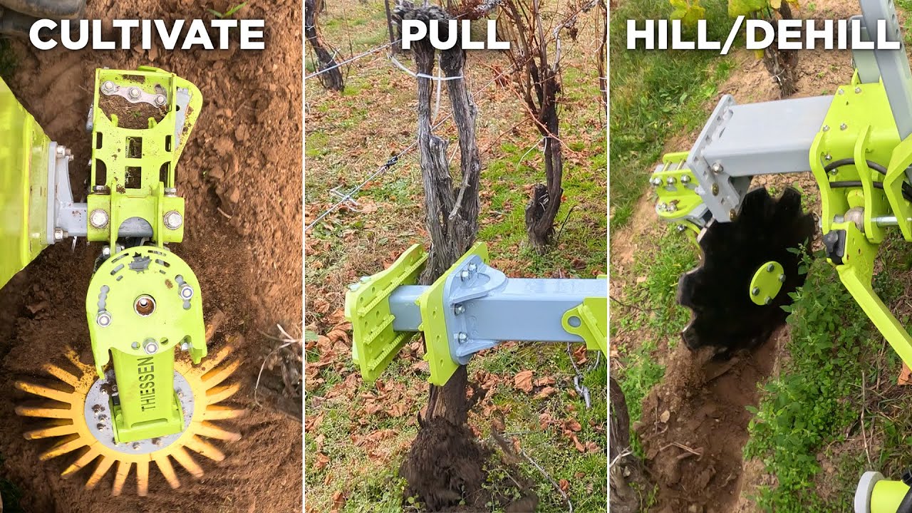 Adaptive Cultivation System: the Ultimate Vineyard Setup