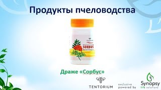 Сироп Сорбус (240 г)