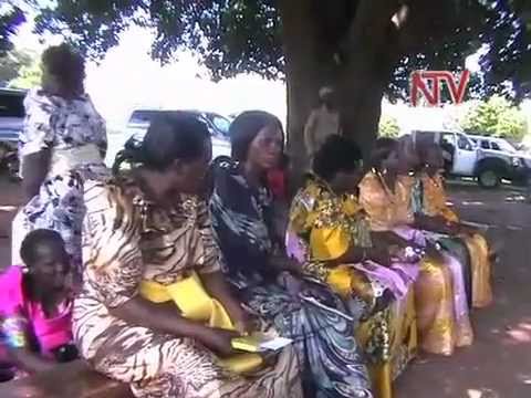 Butaleja Elections: NRM Party Primaries for Friday