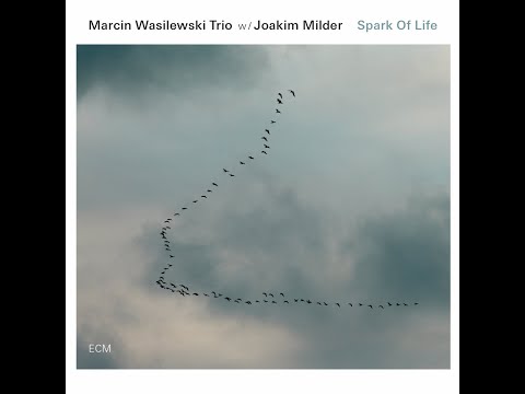 Marcin Wasilewski Trio -  Sleep Safe And Warm
