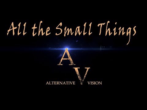 2018 - All the Small Things - Cover by Alternative Vision