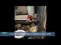 Пятеро детей живут в квартире-помойке (видео)