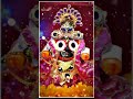 Jay Jagannath Viral Trending Jagannathbhajan Odiyabhajan Jagannathstatus Viralodiabhajan