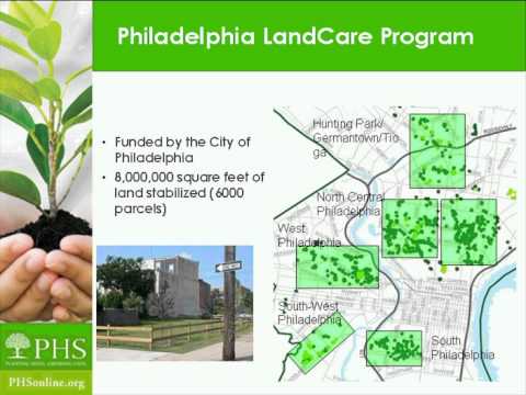 Growing Safer Communities: More Trees, Less Crime