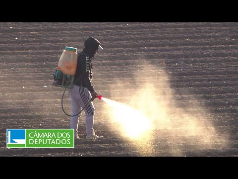 Seminário discute uso de agrotóxicos no Brasil - 02/08/24