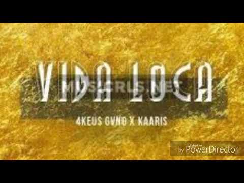 4keus gang X Kaaris Vida Loca (audio)