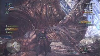 モンスターハンター：ワールド_初見クシャルだおら