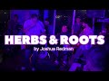 LRQ Live @ CNote Jazz Club - Herbs & Roots (Joshua Redman)