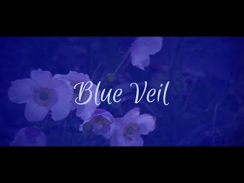Blue Veil