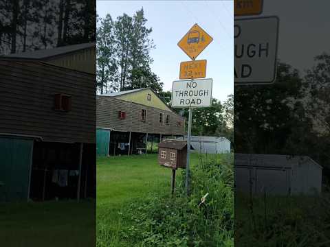 🏡“April Cat Sitting Adventures at Cambroonn 🐾🌿”