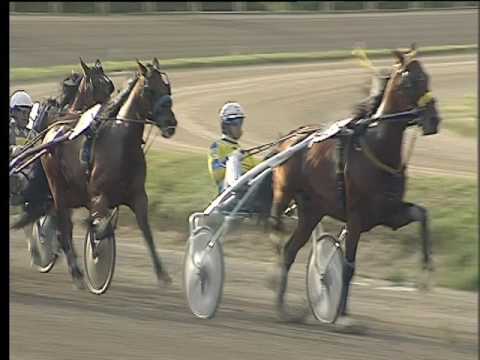 Trotto 17/04/2017 - 7ª corsa