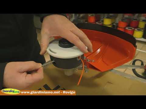 Miniatura Video