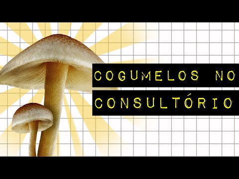 Como os cogumelos mágicos podem tratar sua saúde