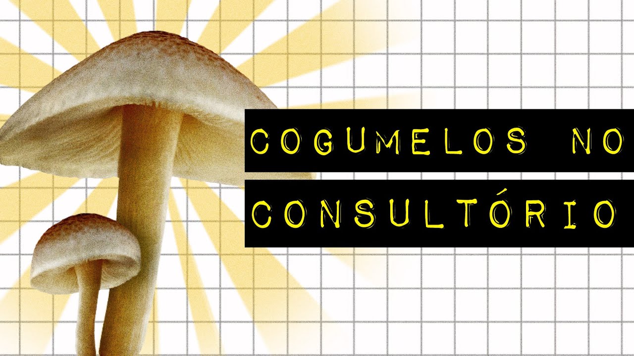 COGUMELOS MÁGICOS, TRATAMENTOS IDEM