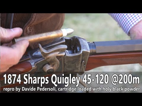Pedersoli 1874 Sharps Quigley 45-120 at 200m - TEASER