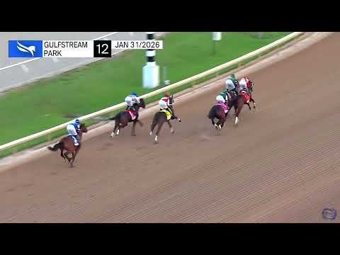 2026 Holy Bull Stakes (G3) - Nearly - Gulfstream Park - 01/31/2026