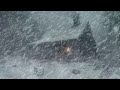 Blizzard Sounds For Sleep Relaxation Staying Cool Snowstorm Sounds Howling Wind In The Forest