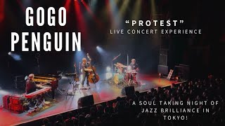Gogo Penguin - Protest | Live Concert Finale in Tokyo, Japan #gogopenguin #concertexperience