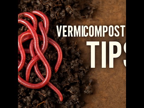 The Ultimate Guide to Vermicomposting: Turning Waste into Black Gold!