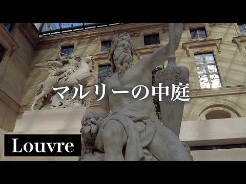 庭の鳥の見分け方は？フランスで一般的な 10 種以上の種の名前と写真  庭園