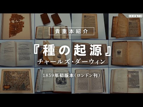 言語文化学科 【奈良大学】図書館 貴重本紹介「種の起源」