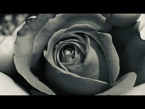 Eur Sulvezh a viz mae / Titi Robin & Erik Marchand