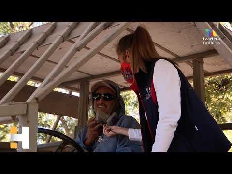 Quien no conoce la cosecha de nueces se va a llevar una sorpresa con la vibrada de los árboles.
