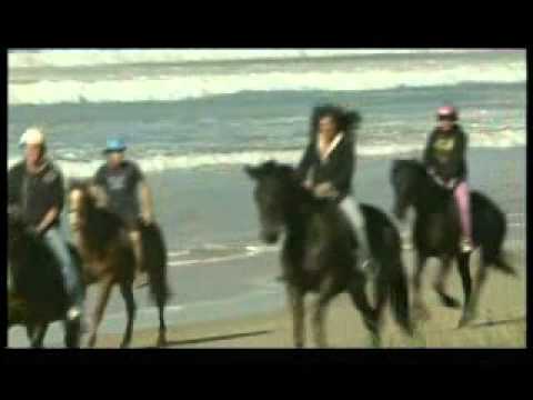 Pegasus Park Equestrian Centre
