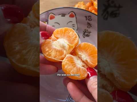 Quick Frozen Fruit Snack