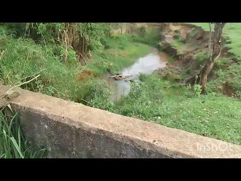 Apreciando paisagens naturais da zona rural de Cabo Verde-MG!#minasgeraisbrasil #vidanaroça #fazenda