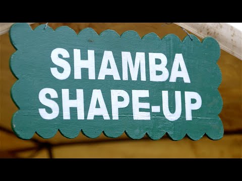 Shamba Shape Up Sn 11 - Ep 21: Orange sweet fleshed potato, Honey, Grass (Swahili)