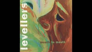 levellers - dog train