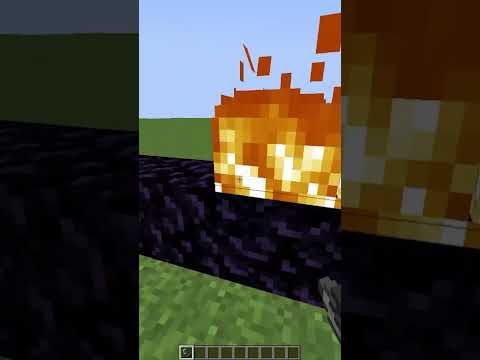 David Surya  - HOW BIG CAN A NETHER PORTAL BE IN MINECRAFT #shorts