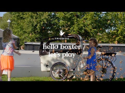 Triporteur électrique Triobike Boxter CL - Bosch Cargo Line - 4 enfants - 545 Wh_4