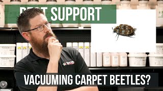 Will Vacuuming Get Rid of Carpet Beetles? | Pest Support