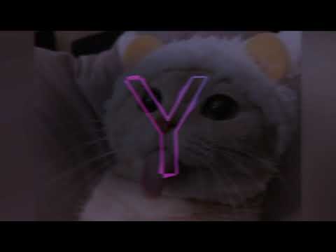 mechant bad gyal dan beats