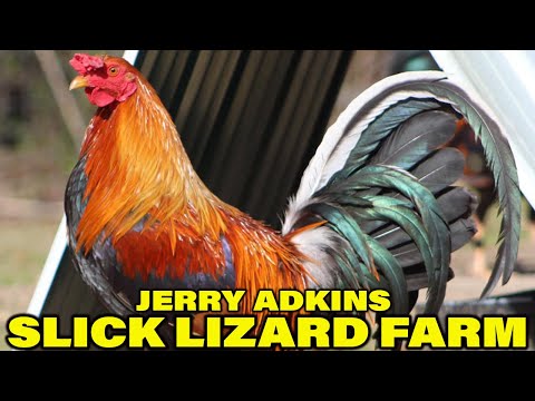 Jerry Adkins Gilmore Hatch Sweater - Beautiful Birds Slick Lizard Farm