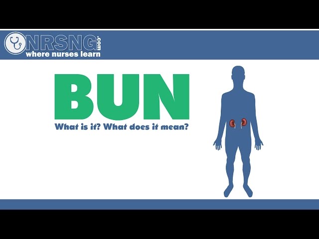 Видео Произношение bun в Английский