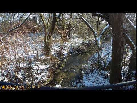 2021 0109 121828 004