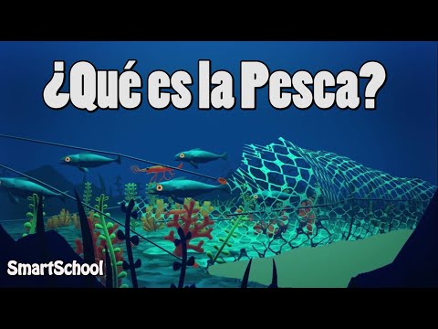 ¿Qué es la Pesca? | Vídeos educativos para Niños📗📗✅