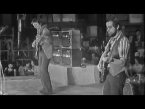 Sfinx - Din nou acasă