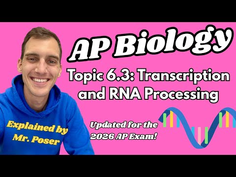 6.3 Transcription and RNA Processing - AP Biology (2025-2026)