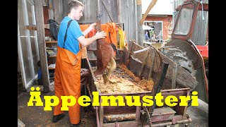 preview picture of video 'Apple Juice Production. Rosenhills Musteri 2011.'
